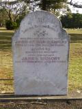 image of grave number 587321