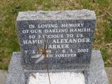 image of grave number 587694