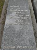image of grave number 821727