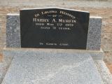 image of grave number 900044