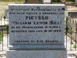 image of grave number 853782