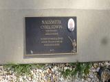 image of grave number 511760