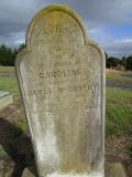 image of grave number 504215