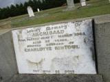 image of grave number 504234
