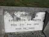 image of grave number 504239