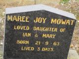 image of grave number 504313