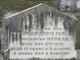 image of grave number 504327