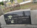 image of grave number 504381
