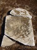 image of grave number 823037