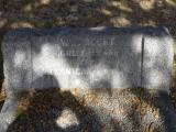 image of grave number 823057