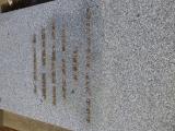image number P1290586