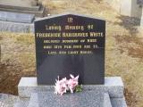 image number P1290817