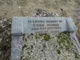 image of grave number 949849