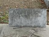 image of grave number 949901