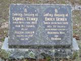 image of grave number 491147