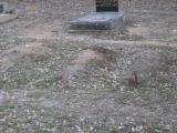 image of grave number 821705