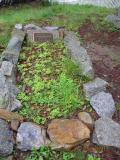 image of grave number 384259