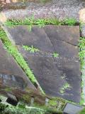 image of grave number 384263