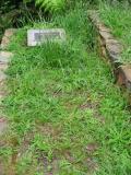 image of grave number 384272