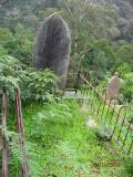 image of grave number 384288