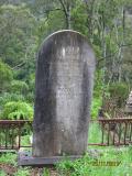 image of grave number 384296