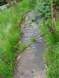image of grave number 384302