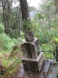 image of grave number 384306