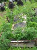 image of grave number 384356