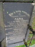 image of grave number 384366