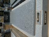 image of grave number 971192