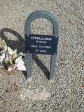 image of grave number 950802