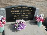image of grave number 950910