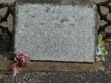 image of grave number 951016