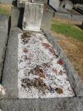 image of grave number 641483