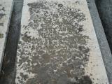 image of grave number 892764