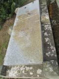 image of grave number 418380