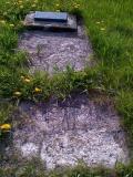 image of grave number 331994