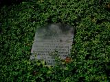 image of grave number 211021