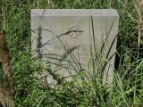 War Memorial