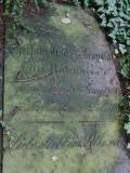 Alten Friedhof Botanical Gardens