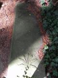 Alten Friedhof Botanical Gardens