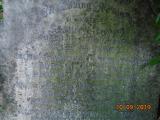 image of grave number 795149