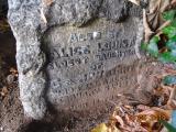 image of grave number 795144