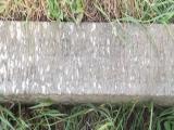 image of grave number 481998