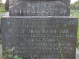 image of grave number 482001