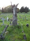 image of grave number 482001