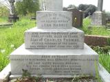 image of grave number 482361
