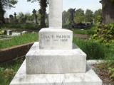 image of grave number 482361