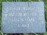 image of grave number 482017