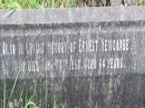 image of grave number 482057